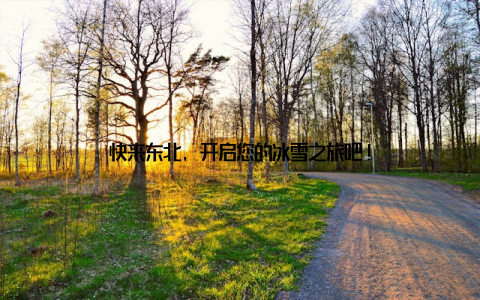 快来东北, 开启您的冰雪之旅吧!