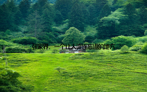 张家界, 一个让人流连忘返的地方