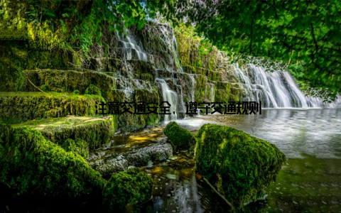 – 注意交通安全, 遵守交通规则