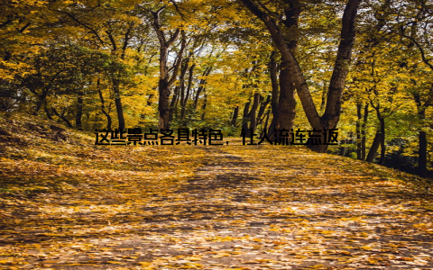 这些景点各具特色, 让人流连忘返