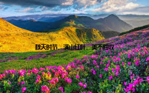 秋天时节, 满山红叶, 美不胜收