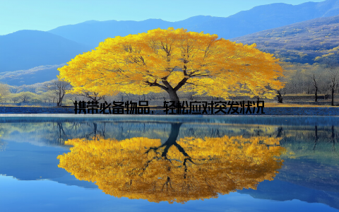 携带必备物品, 轻松应对突发状况