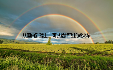 从国内到瑞士, 可以选择飞机或火车