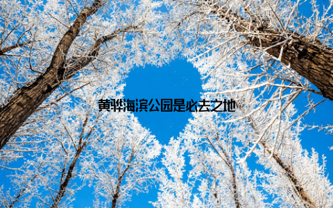 黄骅海滨公园是必去之地