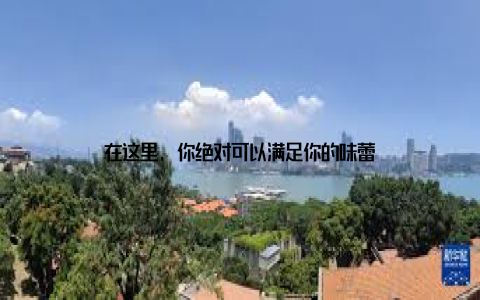 在这里, 你绝对可以满足你的味蕾