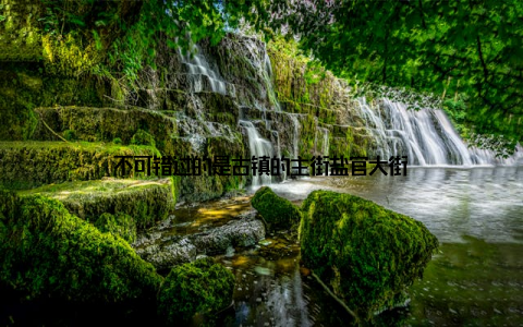 不可错过的是古镇的主街盐官大街