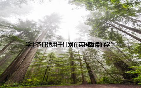 学生签证适用于计划在英国就读的学生