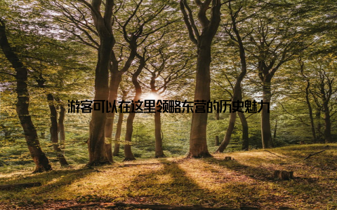 游客可以在这里领略东营的历史魅力