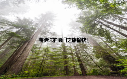 期待你的厦门之旅愉快!