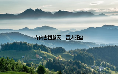 寺内古树参天, 香火旺盛