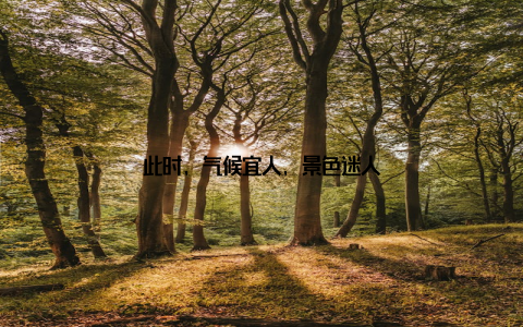 此时, 气候宜人, 景色迷人