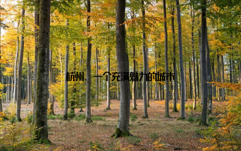 杭州, 一个充满魅力的城市