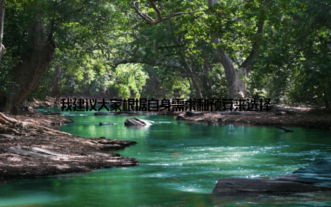 我建议大家根据自身需求和预算来选择