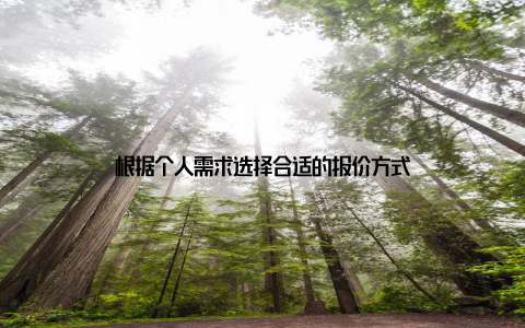 根据个人需求选择合适的报价方式