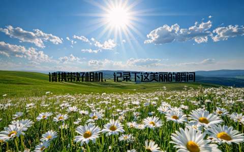 请携带好相机, 记录下这美丽的瞬间