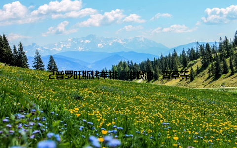2普罗旺斯烤羊排、橄榄油、香草等