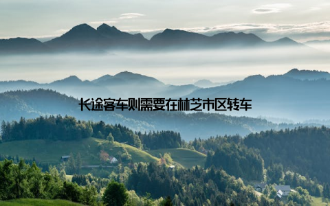 长途客车则需要在林芝市区转车
