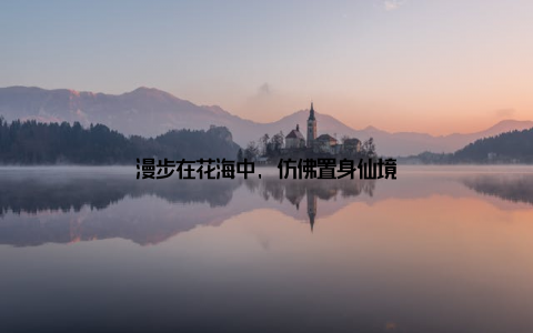 漫步在花海中, 仿佛置身仙境