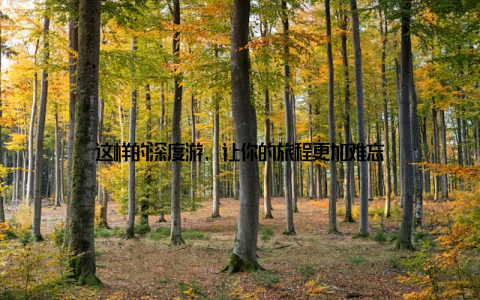 这样的深度游, 让你的旅程更加难忘