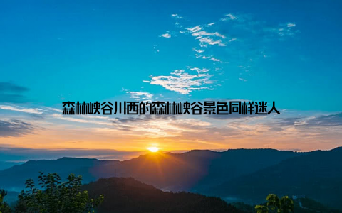 森林峡谷川西的森林峡谷景色同样迷人