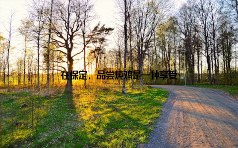 在保定, 品尝炖鸡是一种享受