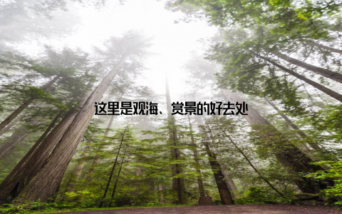 这里是观海、赏景的好去处