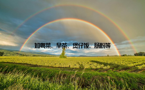 如粤菜、早茶、煲仔饭、肠粉等