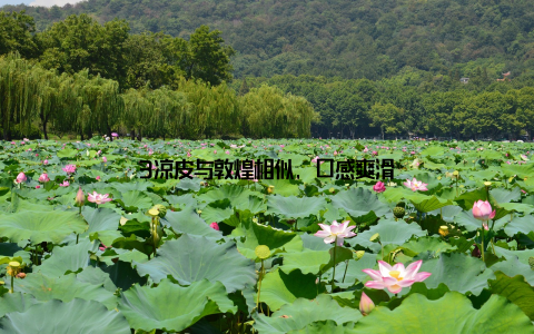 3凉皮与敦煌相似, 口感爽滑