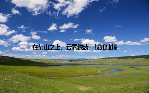 在茶山之上, 云雾缭绕, 犹如仙境