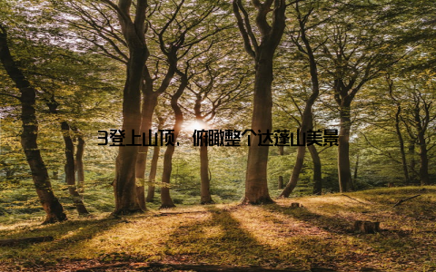 3登上山顶, 俯瞰整个达蓬山美景