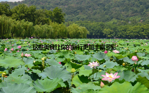 这些美食让你的旅行更加丰富多彩