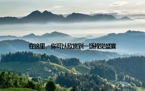 在这里, 你可以欣赏到一场视觉盛宴