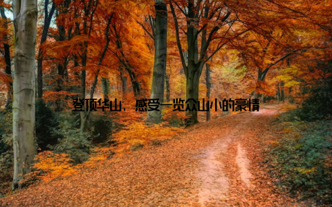 登顶华山, 感受一览众山小的豪情