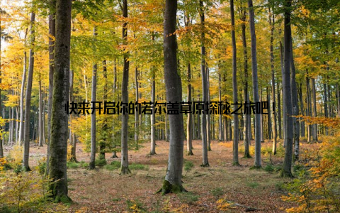 快来开启你的若尔盖草原探秘之旅吧!