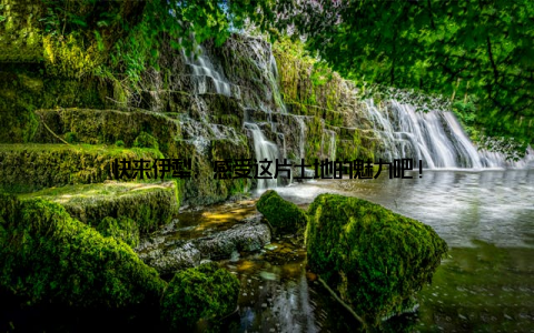 快来伊犁, 感受这片土地的魅力吧!