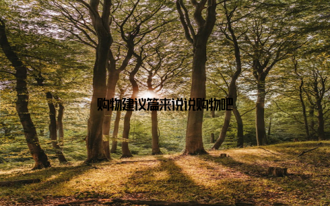 购物建议篇来说说购物吧