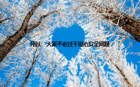 所以, 大家不必过于担心安全问题