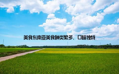 美食东南亚美食种类繁多, 口味独特