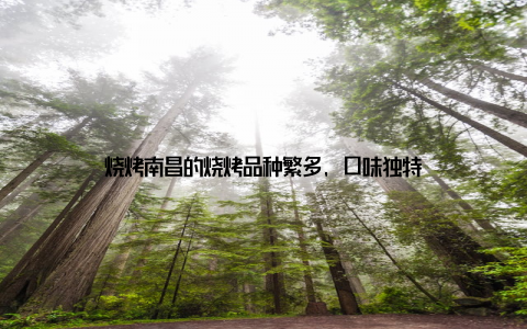 烧烤南昌的烧烤品种繁多, 口味独特