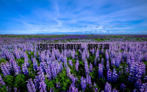 这些菜肴味道鲜美, 营养丰富