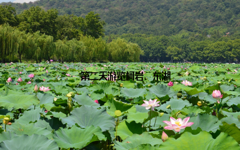 – 第二天游览柯岩、东湖