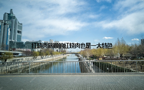 红烧肉旅顺的红烧肉也是一大特色