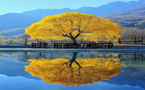 在这里, 我们感受到了禅意的宁静