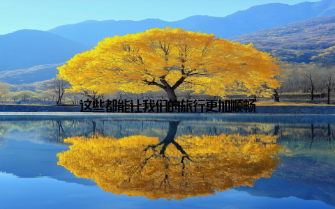 这些都能让我们的旅行更加顺畅