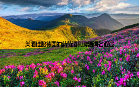 美酒佳酿德国的葡萄酒和啤酒闻名遐迩