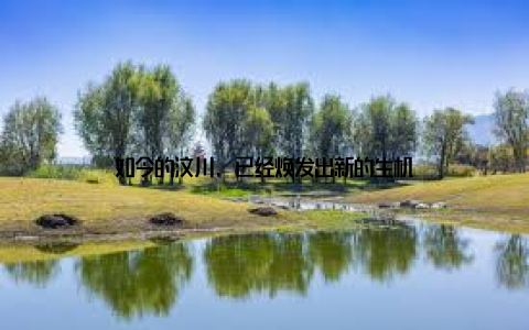 如今的汶川, 已经焕发出新的生机